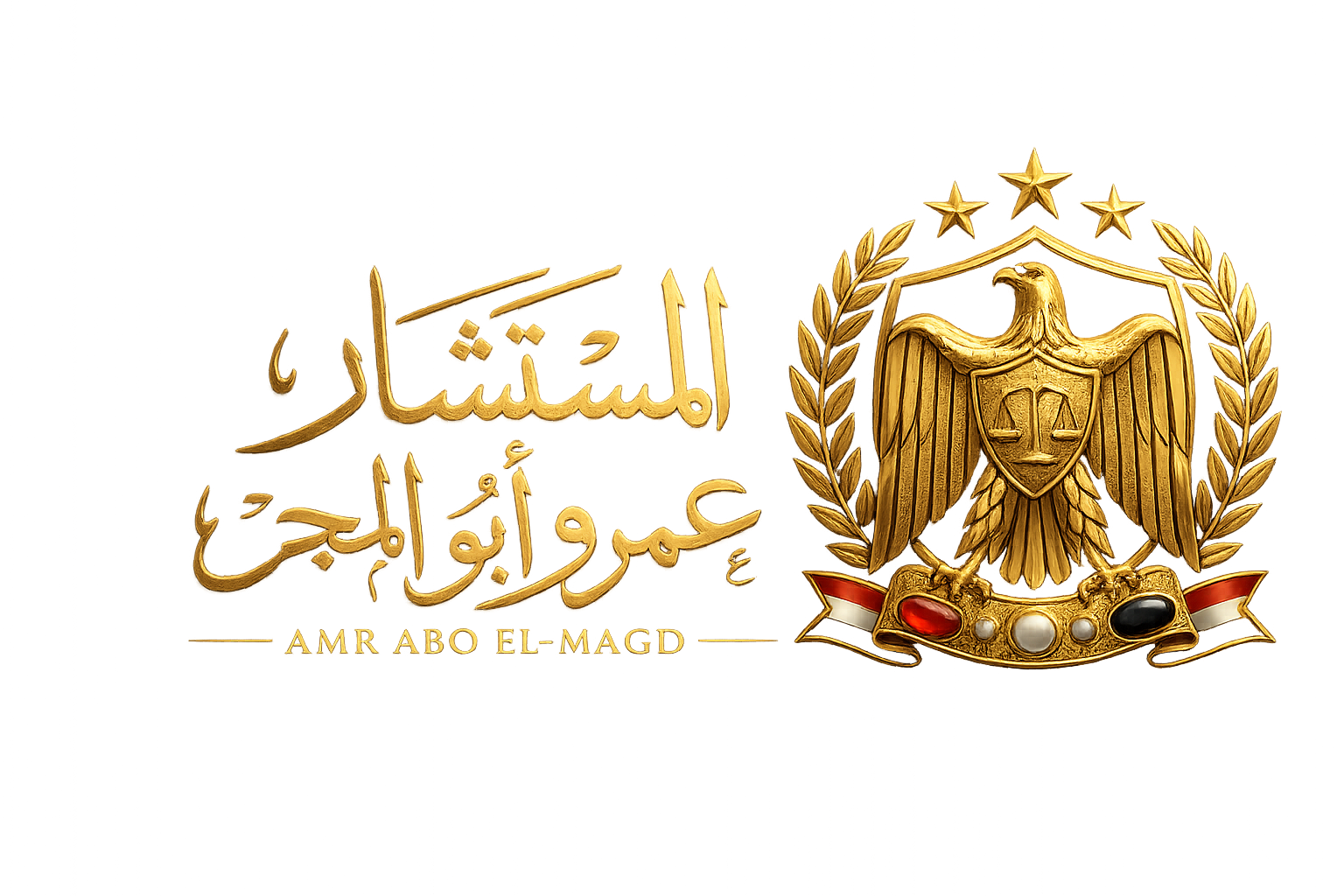 المحامي والمستشار عمرو أبو المجد